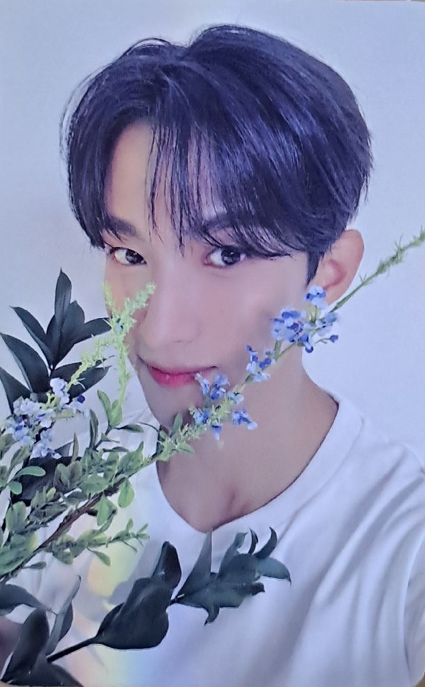 精選專克拉盤專卡 碩