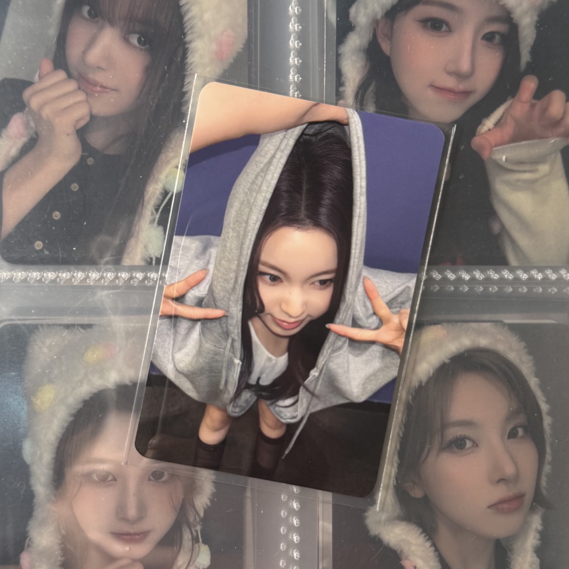 🐳正規一 ms嗷嗚 圭