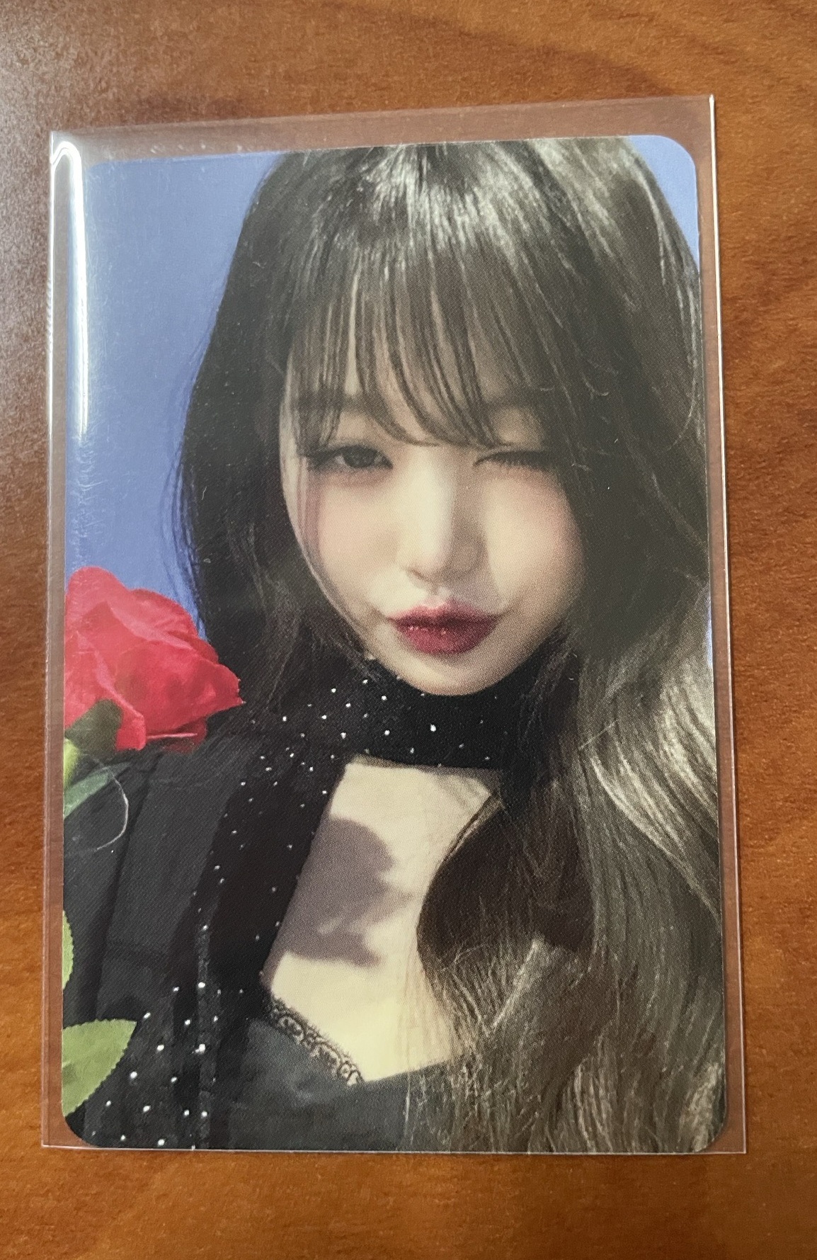 IVE am 玫瑰花 員