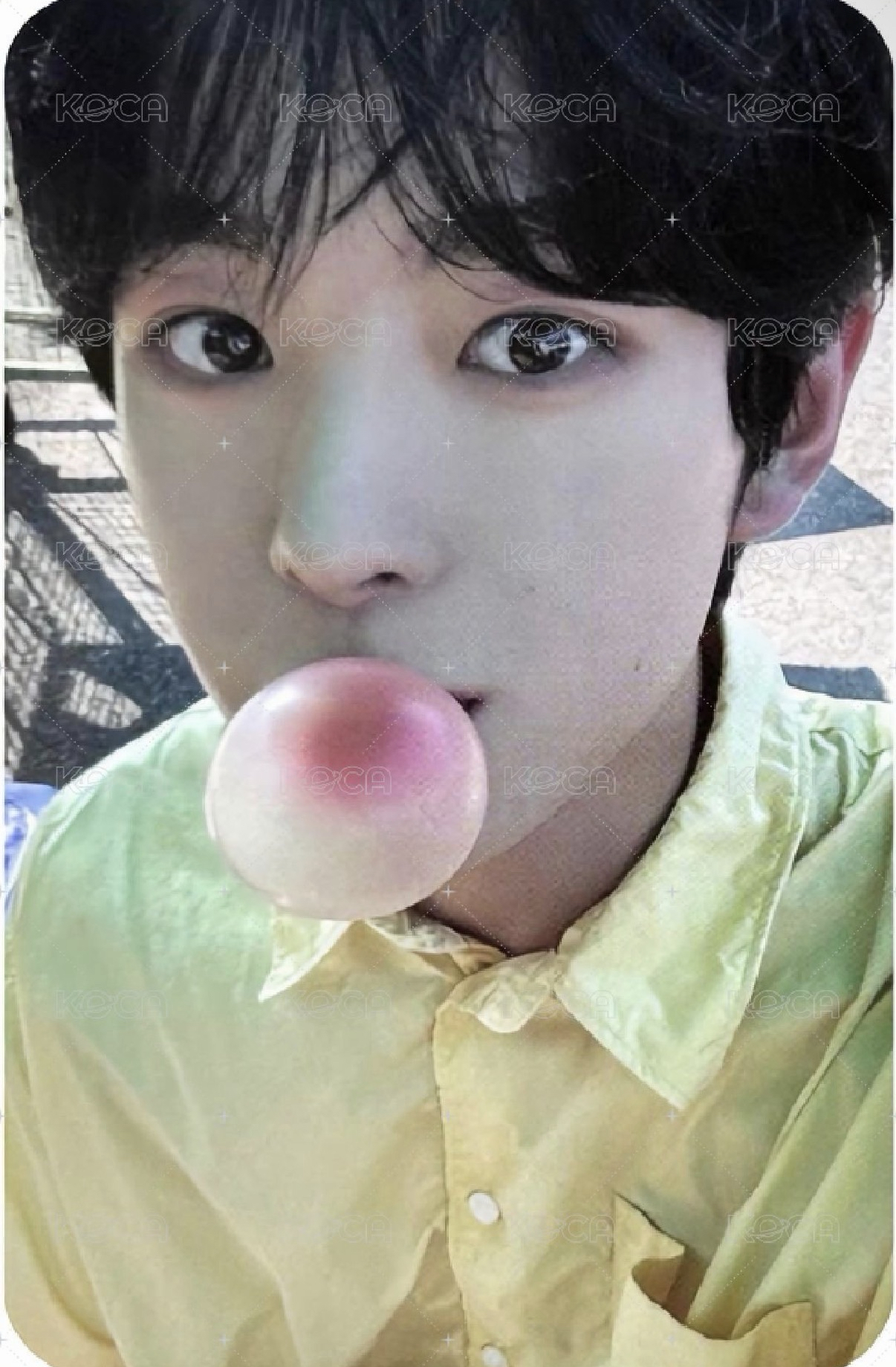 poppop 專輯卡 Nct Wish Yushi  popchu 專卡