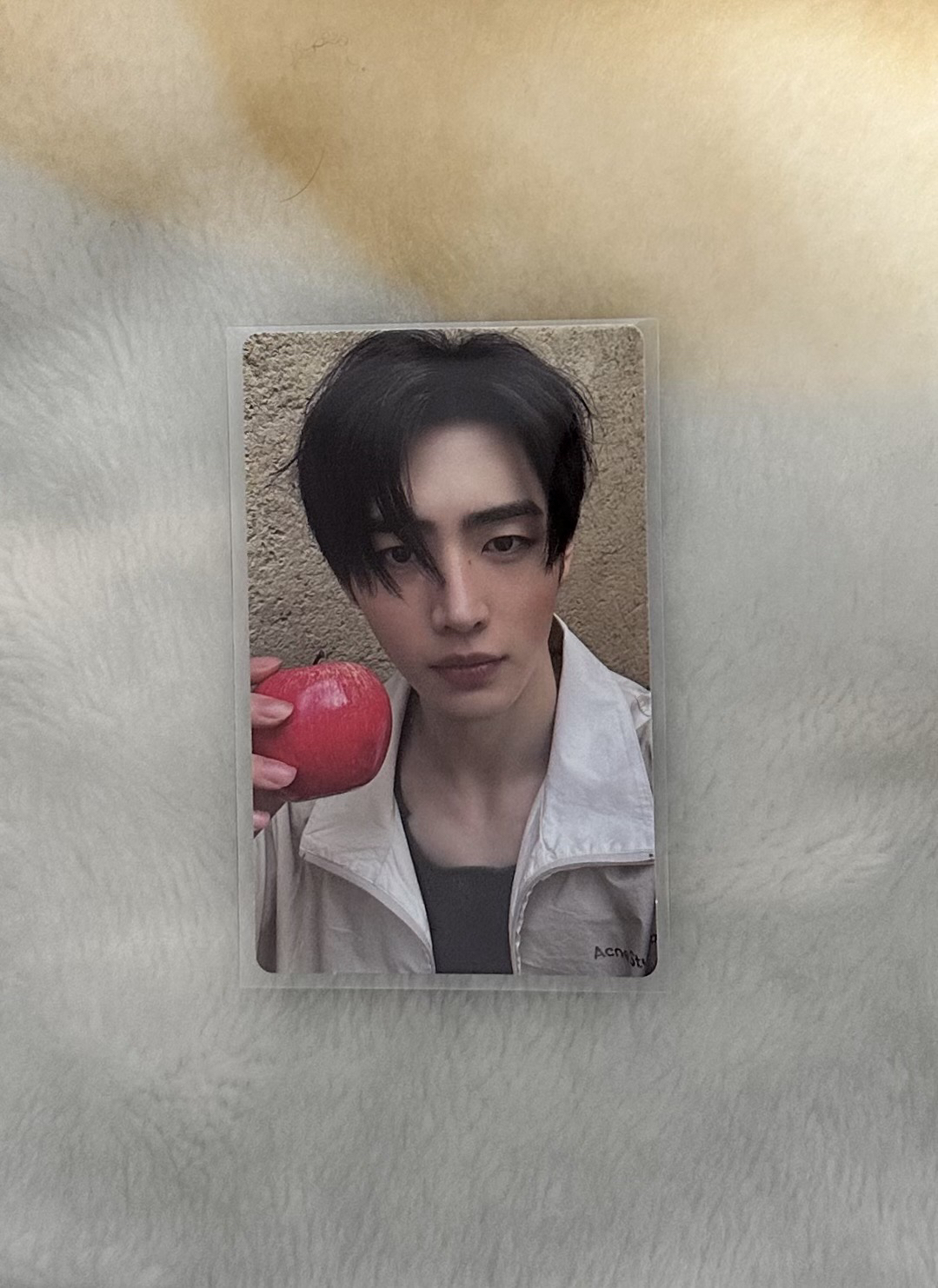 成訓 sc live pb版特典