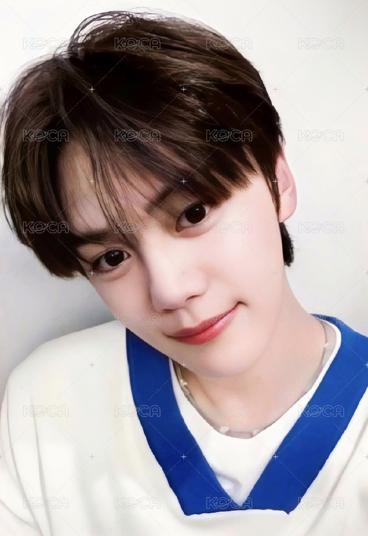 芭蘭歌林 代言卡 2.0