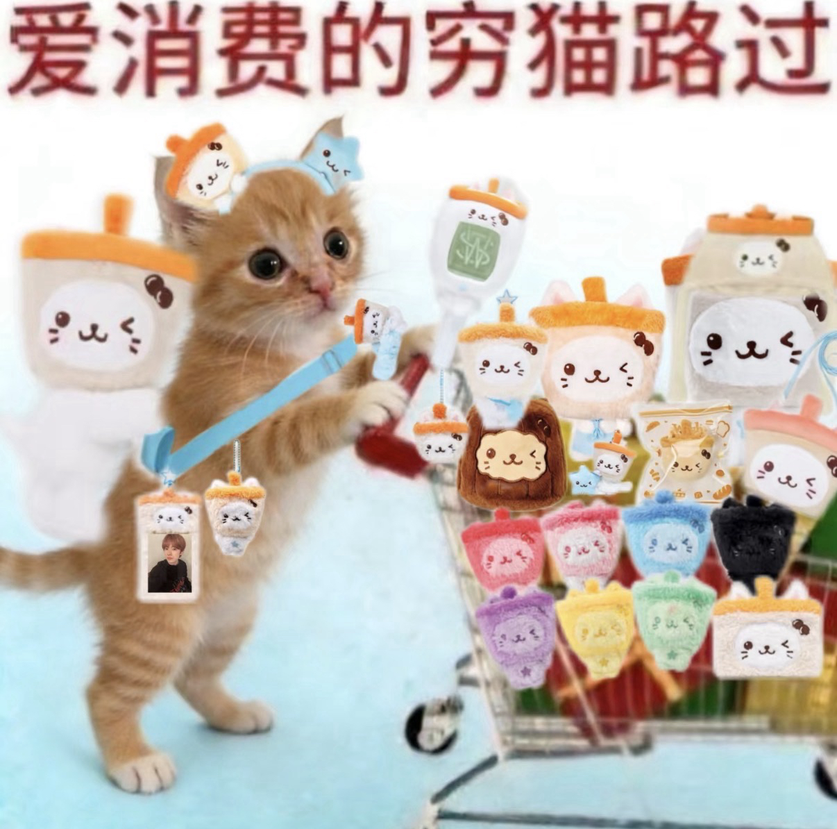 需要硬卡套這邊下單💗