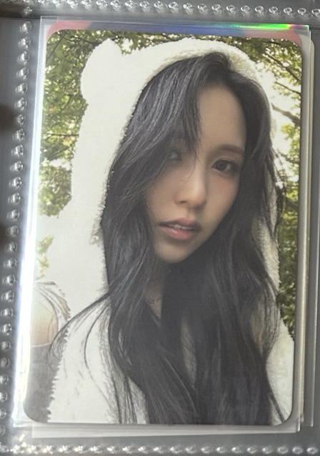 南 迷13專卡1️⃣