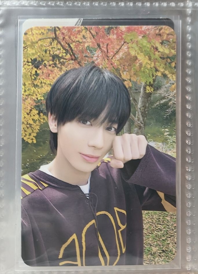 迷七數星星(中背)-多帶任1