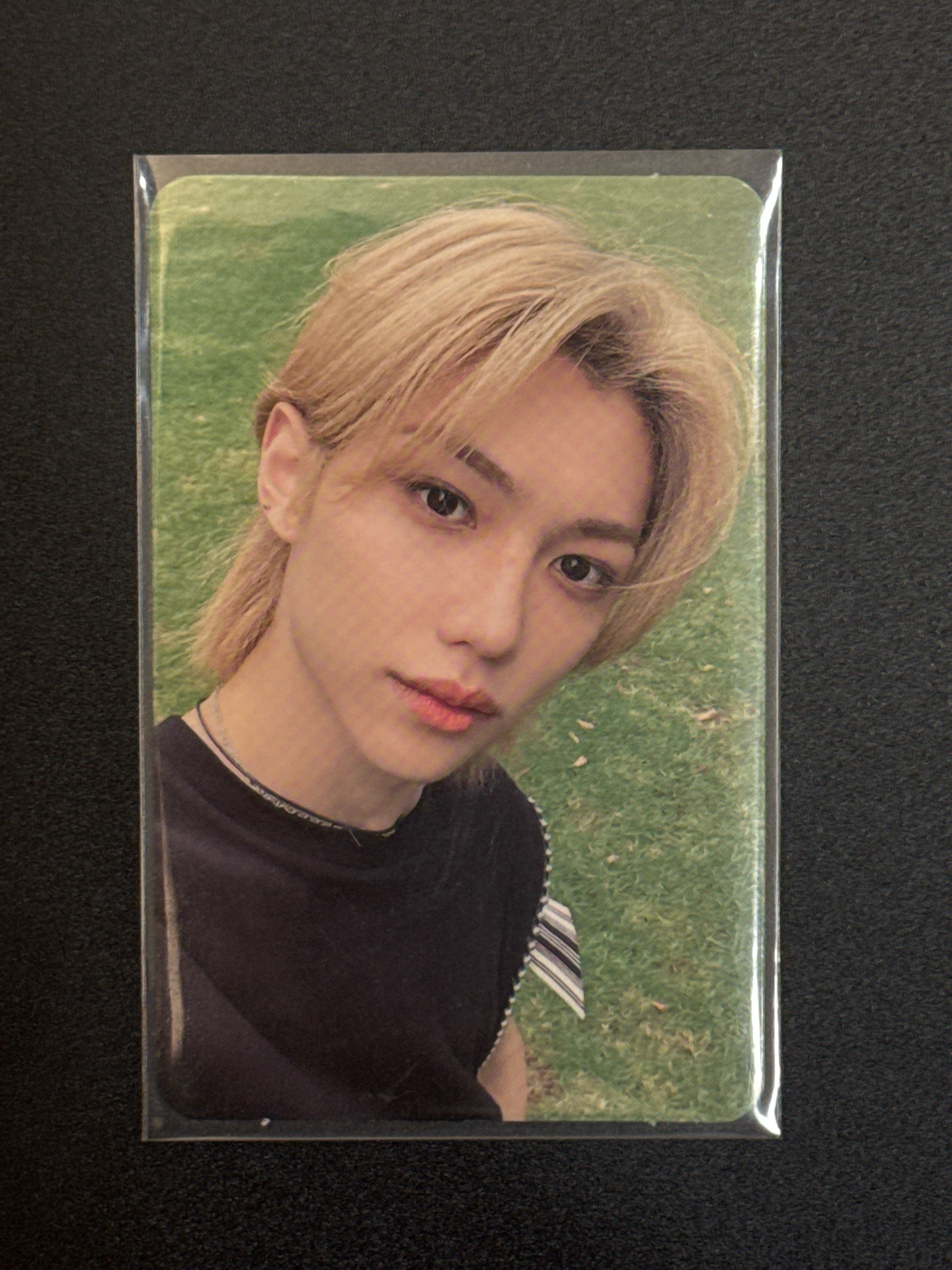 五星 草地菲 李龍馥