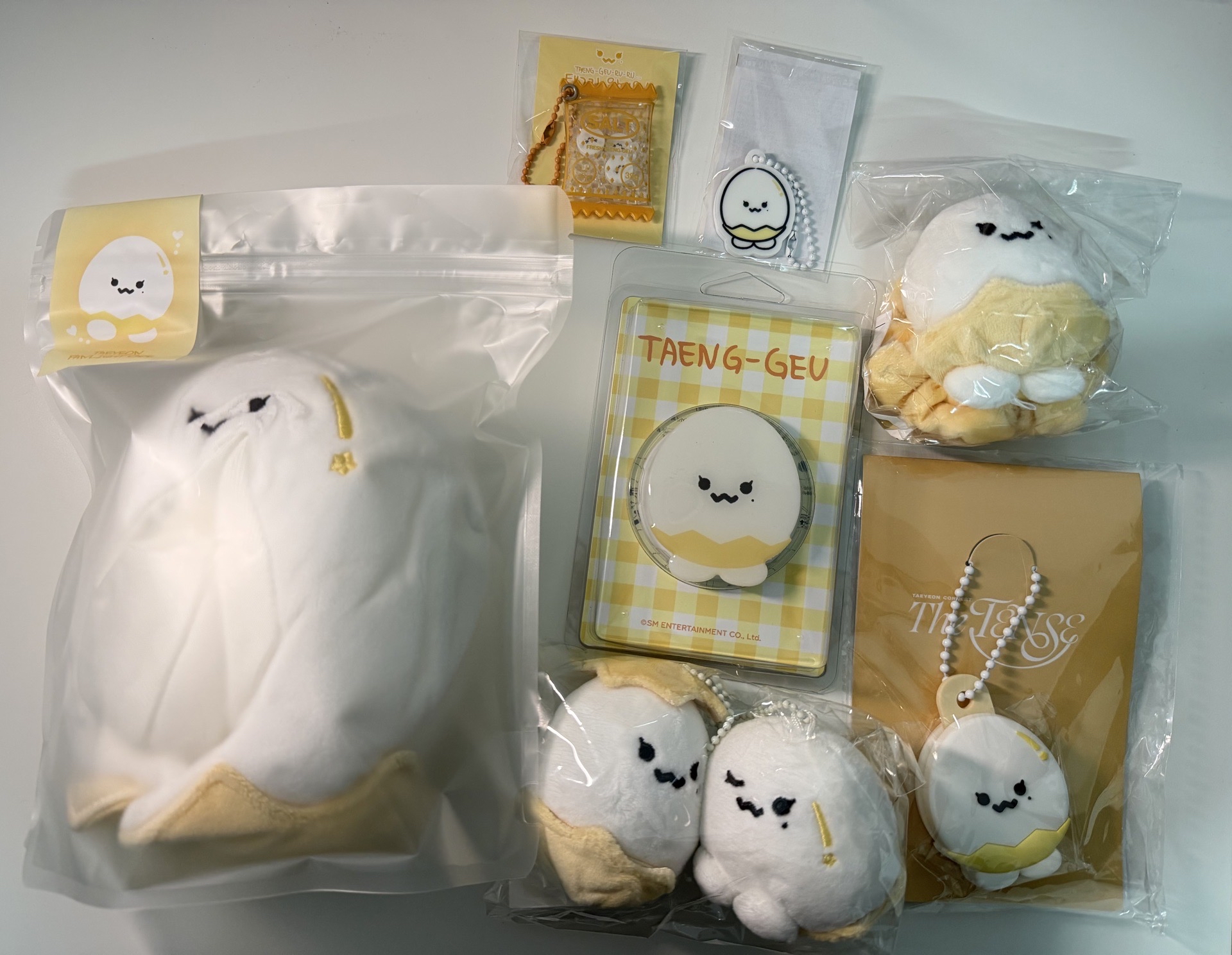 送演唱會紙花 太妍 太蛋系列 TAENGGEU THE TENSE 日本場週 太蛋吊飾 盲盒 手機支架 手燈套