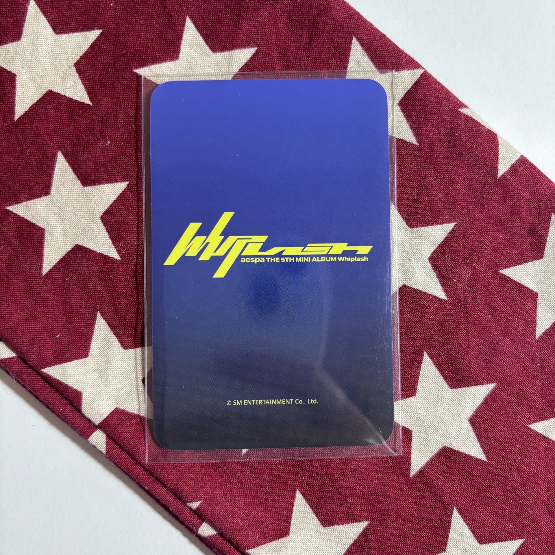 Whiplash sw 幸運卡 冬 ⋆.˚⊹⁺