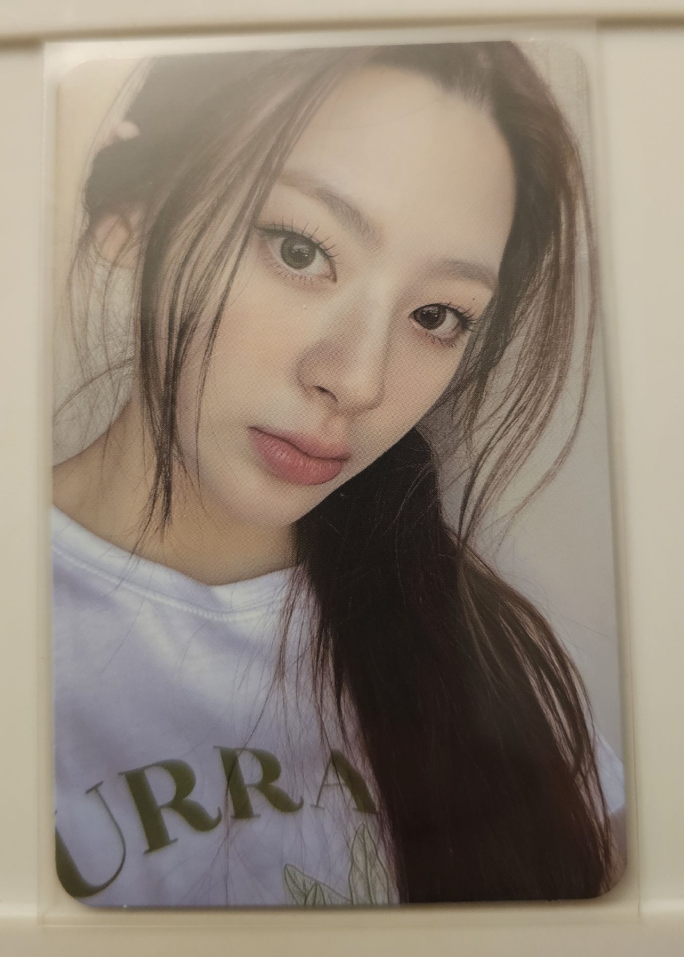 芝加哥 快閃 滿額卡 