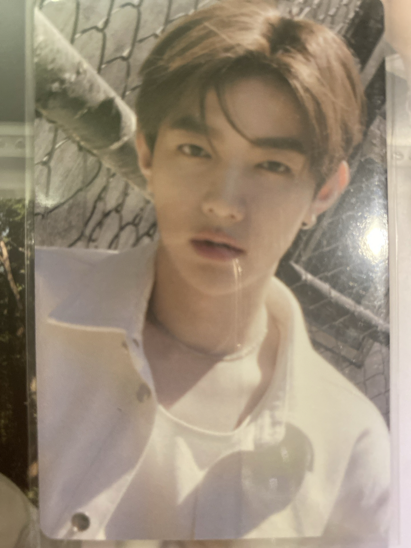 ZB1_正規一香膏專固卡昊