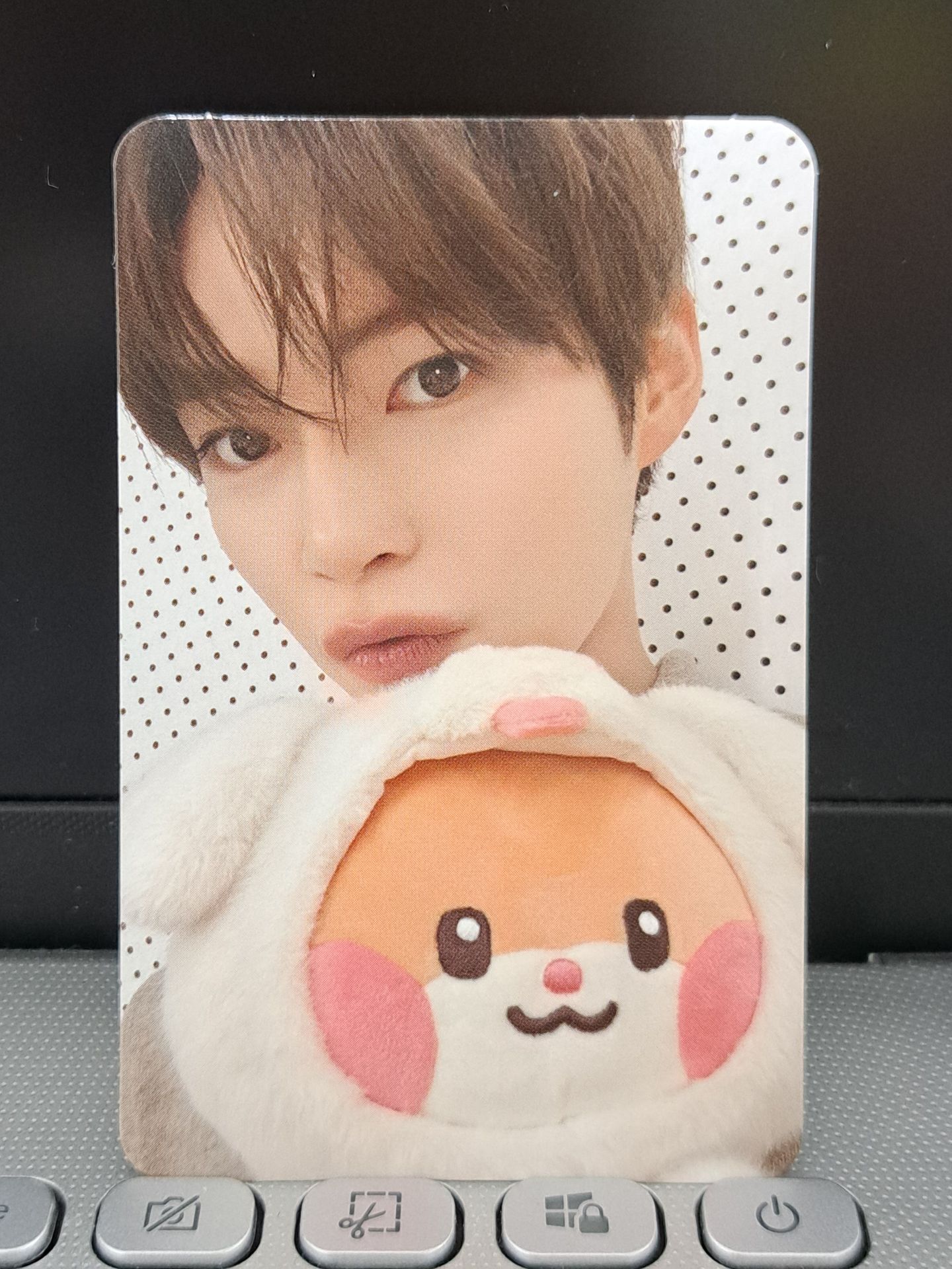 zeroni 滿額彬 折痕