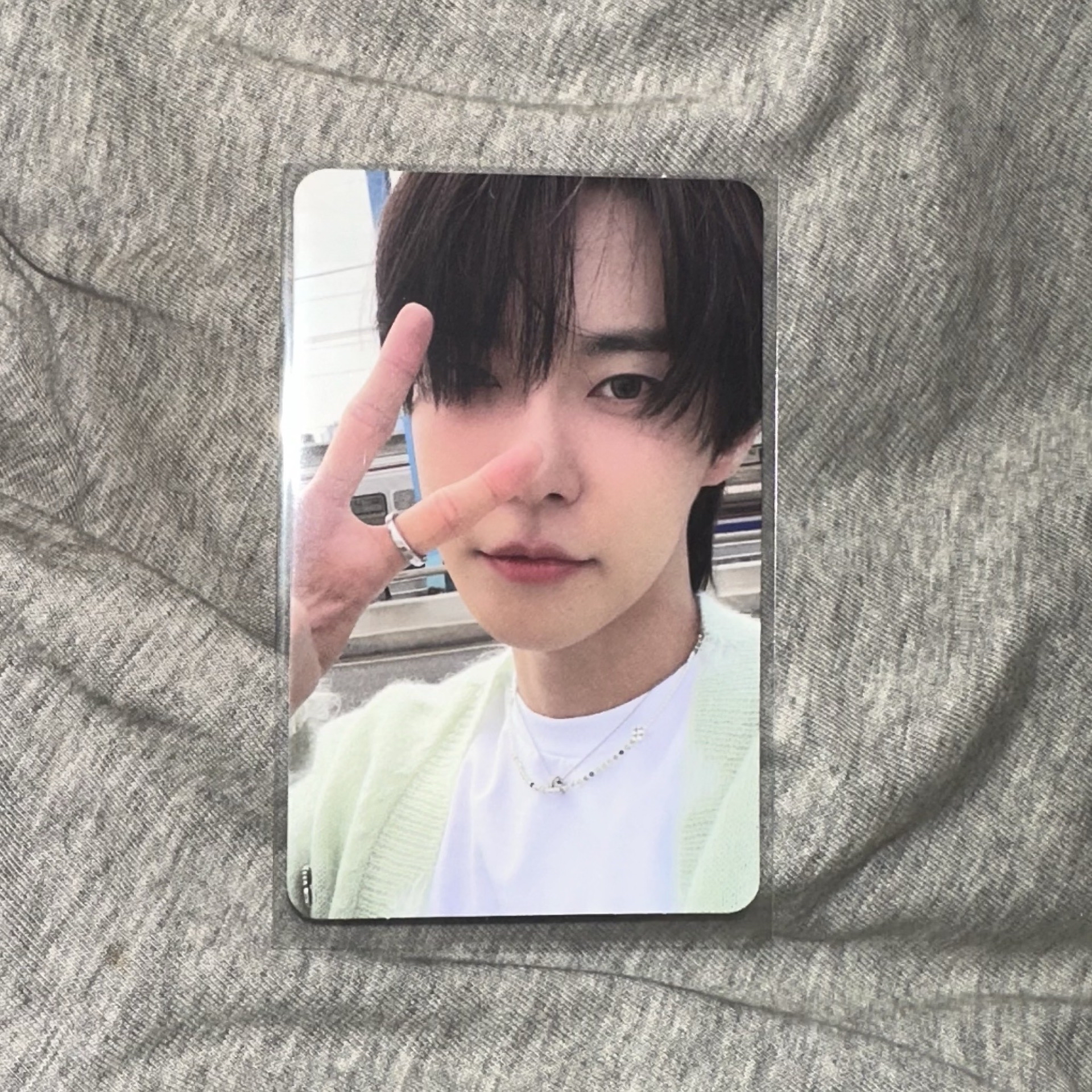 金道英綠衣比耶 可愛兔子卡背