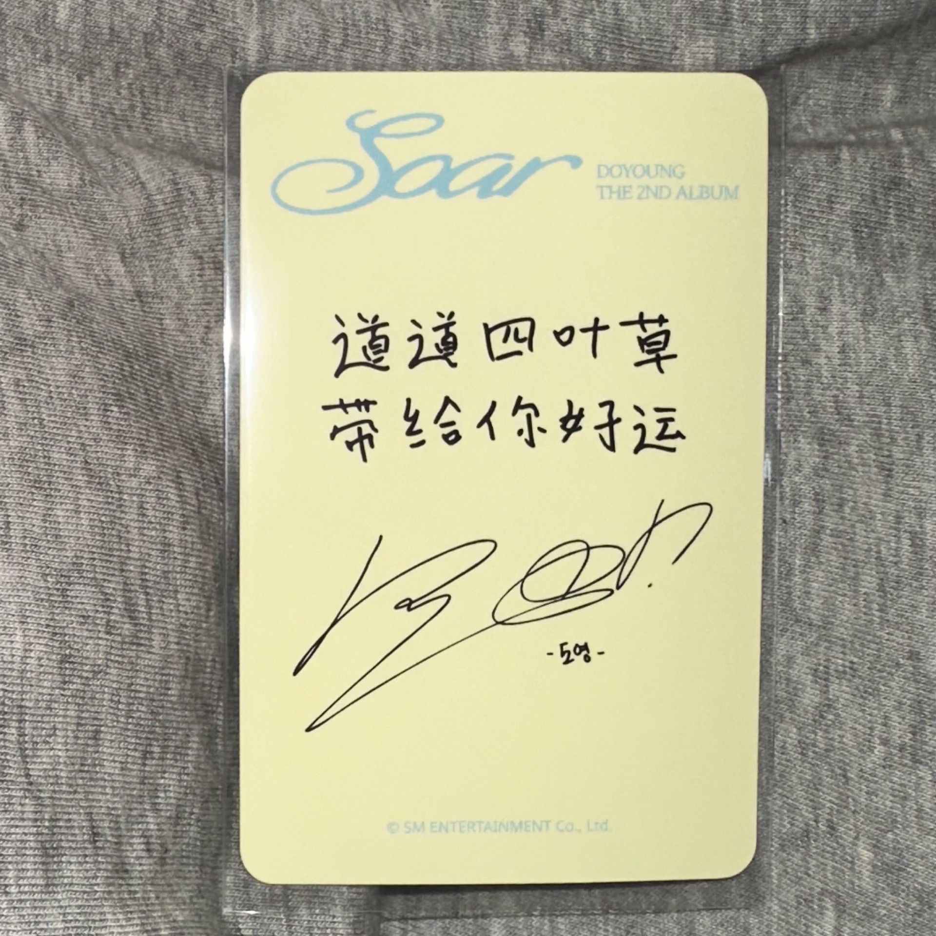 金道英比耶中文卡背