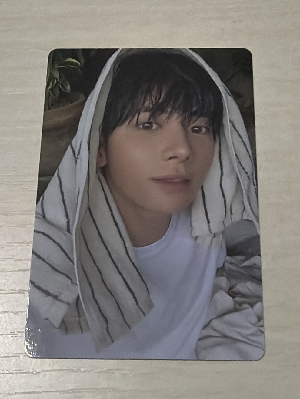 姜太顯 迷七單封angel專卡