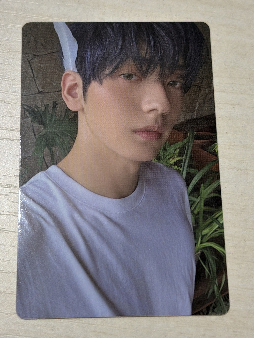 崔秀彬 迷七 單封angel專卡