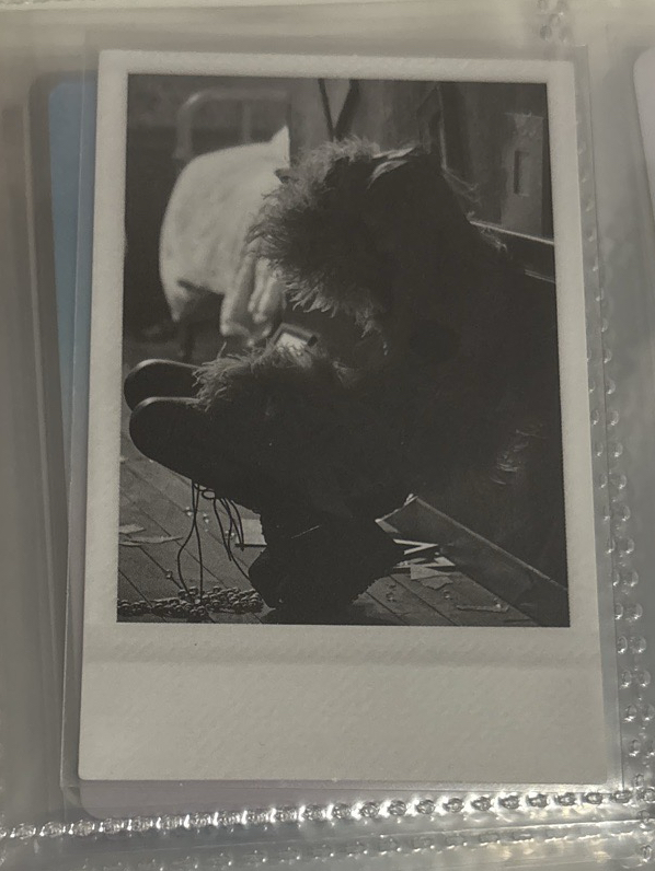 ROSÉ 專輯卡 蹲下肉