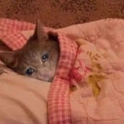 讓我賣出去吧><