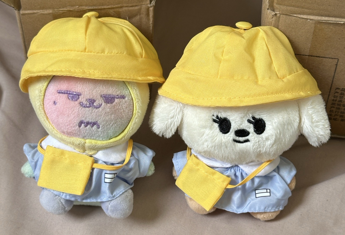 彩春新年找新家(.ᓀ ·̫ ᓂ )