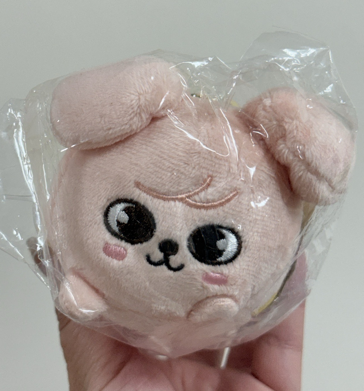 彰彬 昇玟 THE VICTORY 日本趴娃