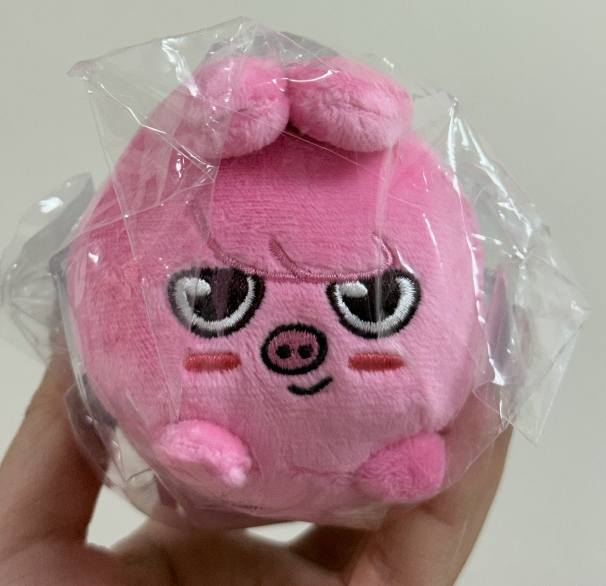 彰彬 昇玟 THE VICTORY 日本趴娃