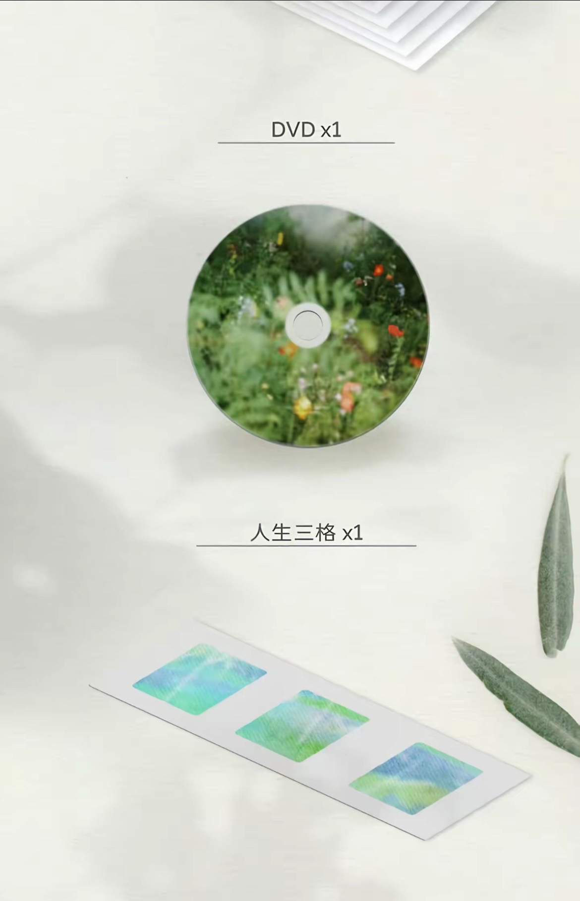 團春日記憶無卡全套