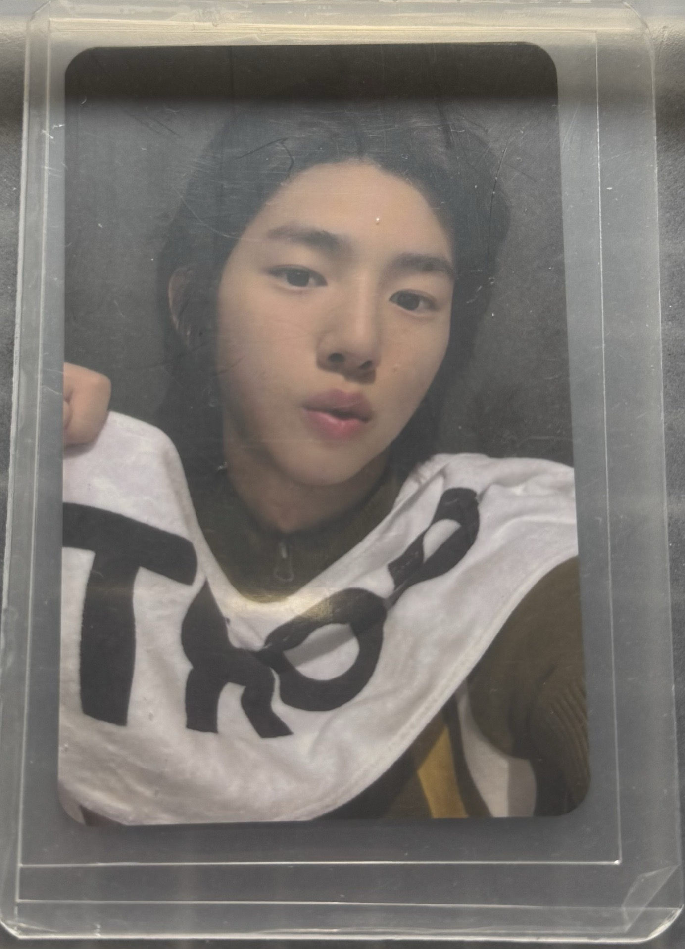 金主訓sc入場卡