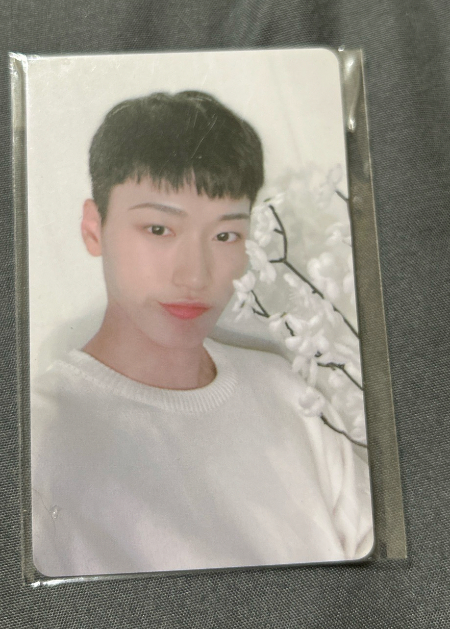 拿白色花花的傘尼