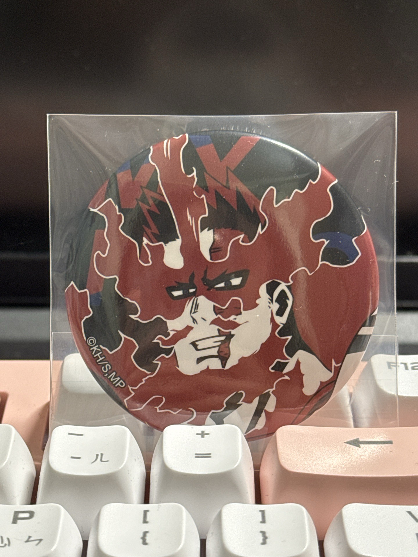 我的英雄學院 奮進人 轟炎司