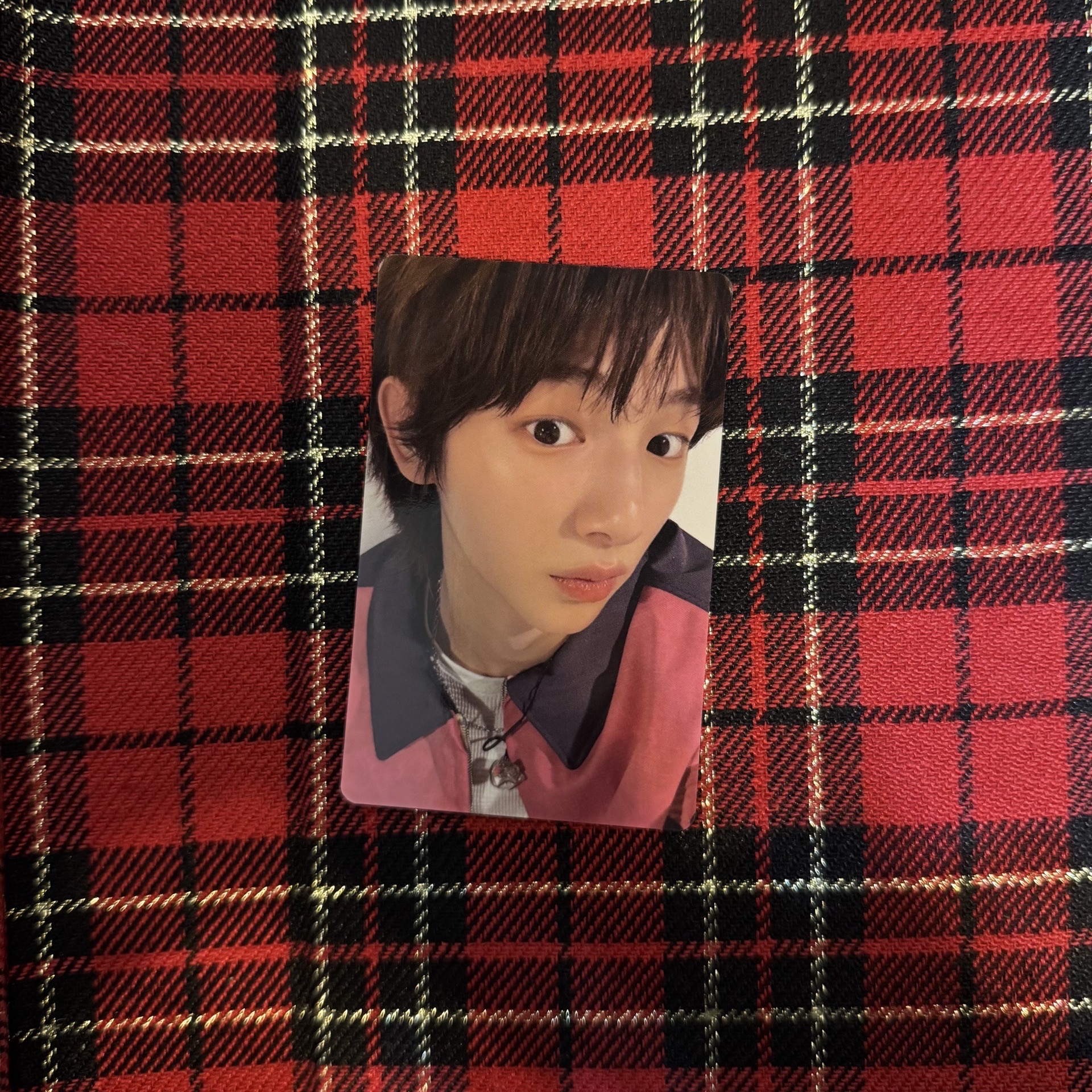 一直娛4.0粉紅豬豬訓🐷