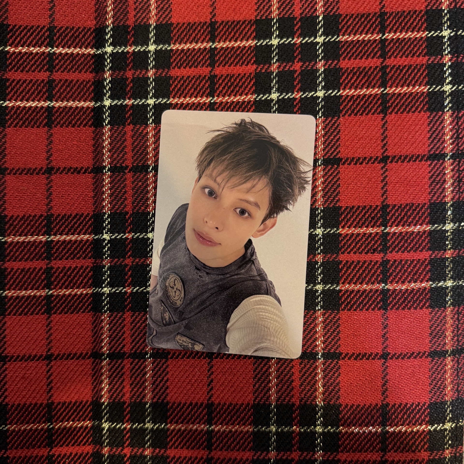 一直娛4.0咪咪凡🐱