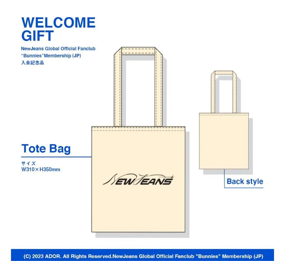 【有含小卡】NewJeans 會員禮 一期 瘦身窄盒版 BUNNIES CLUB 2023 (內容物完整無缺件)