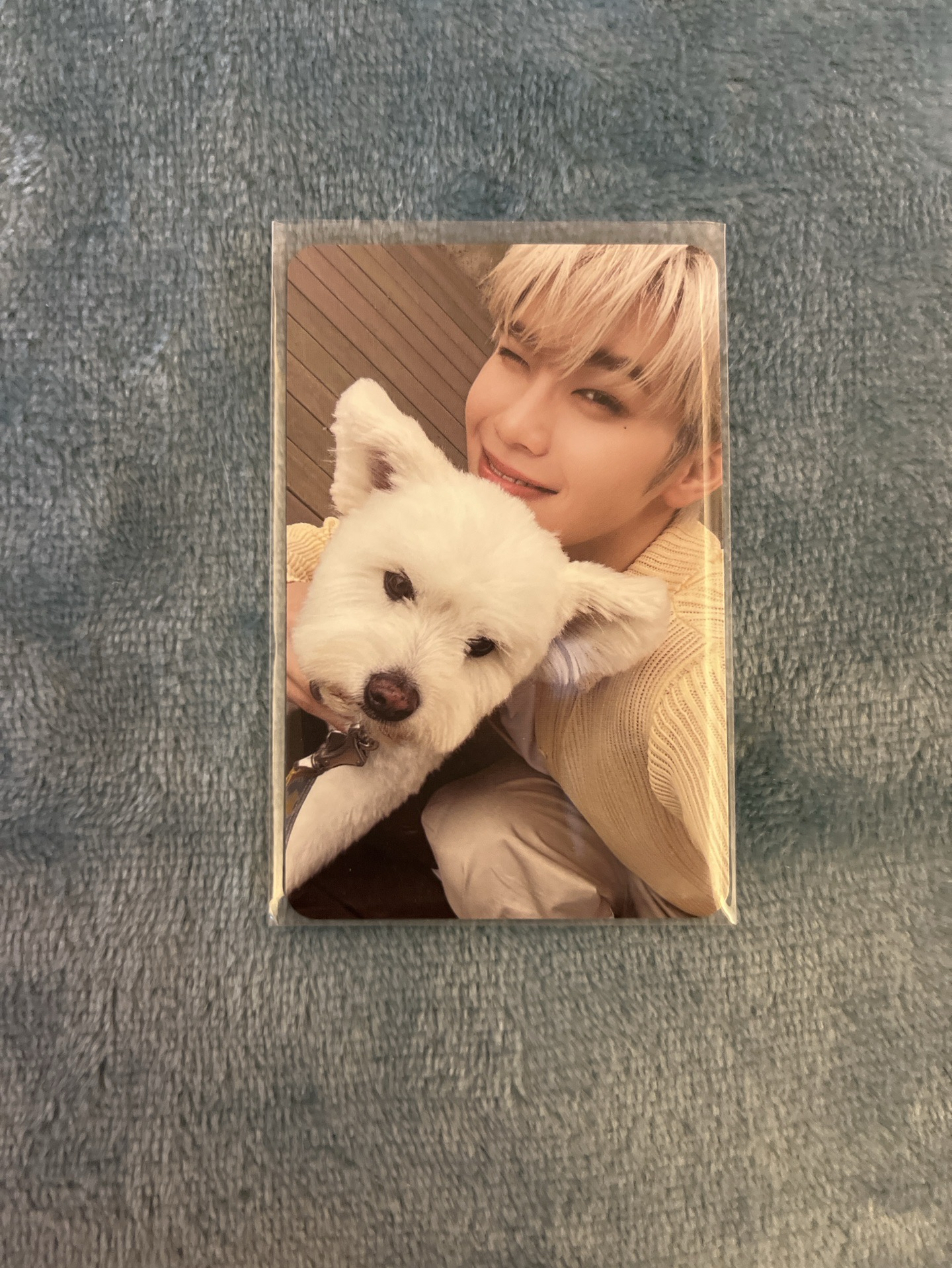 ZB1 金泰來小狗卡