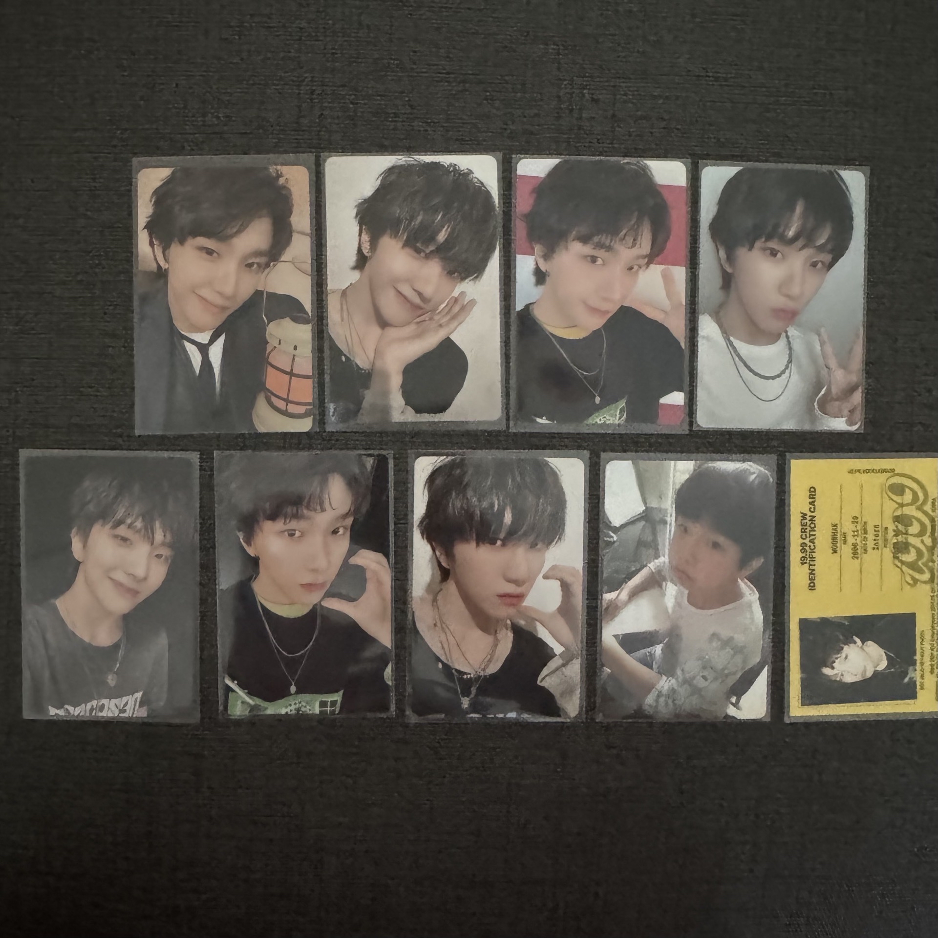 19.99 專卡合集 金雲鶴