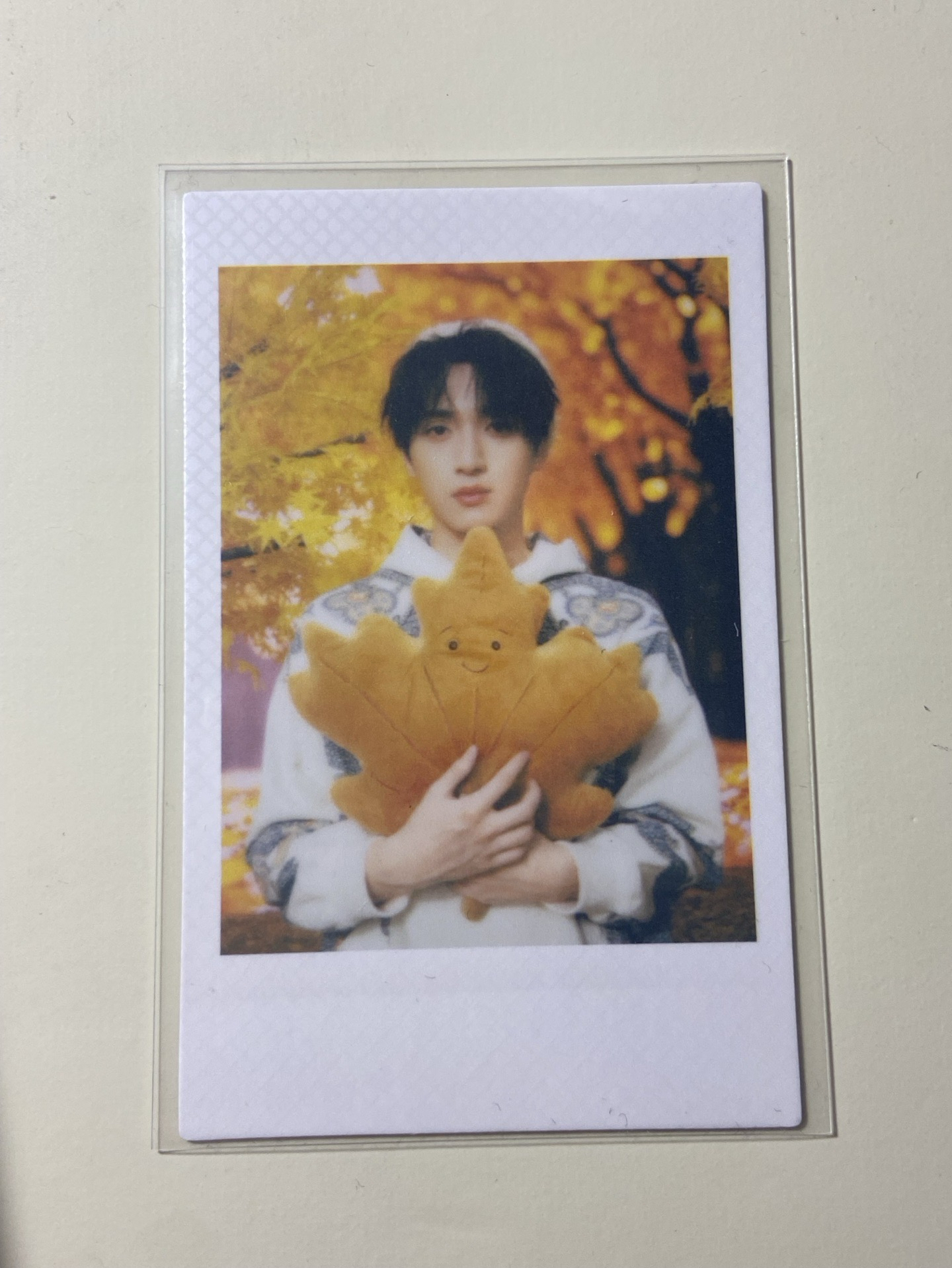 嚴浩翔秋日楓葉拍立得