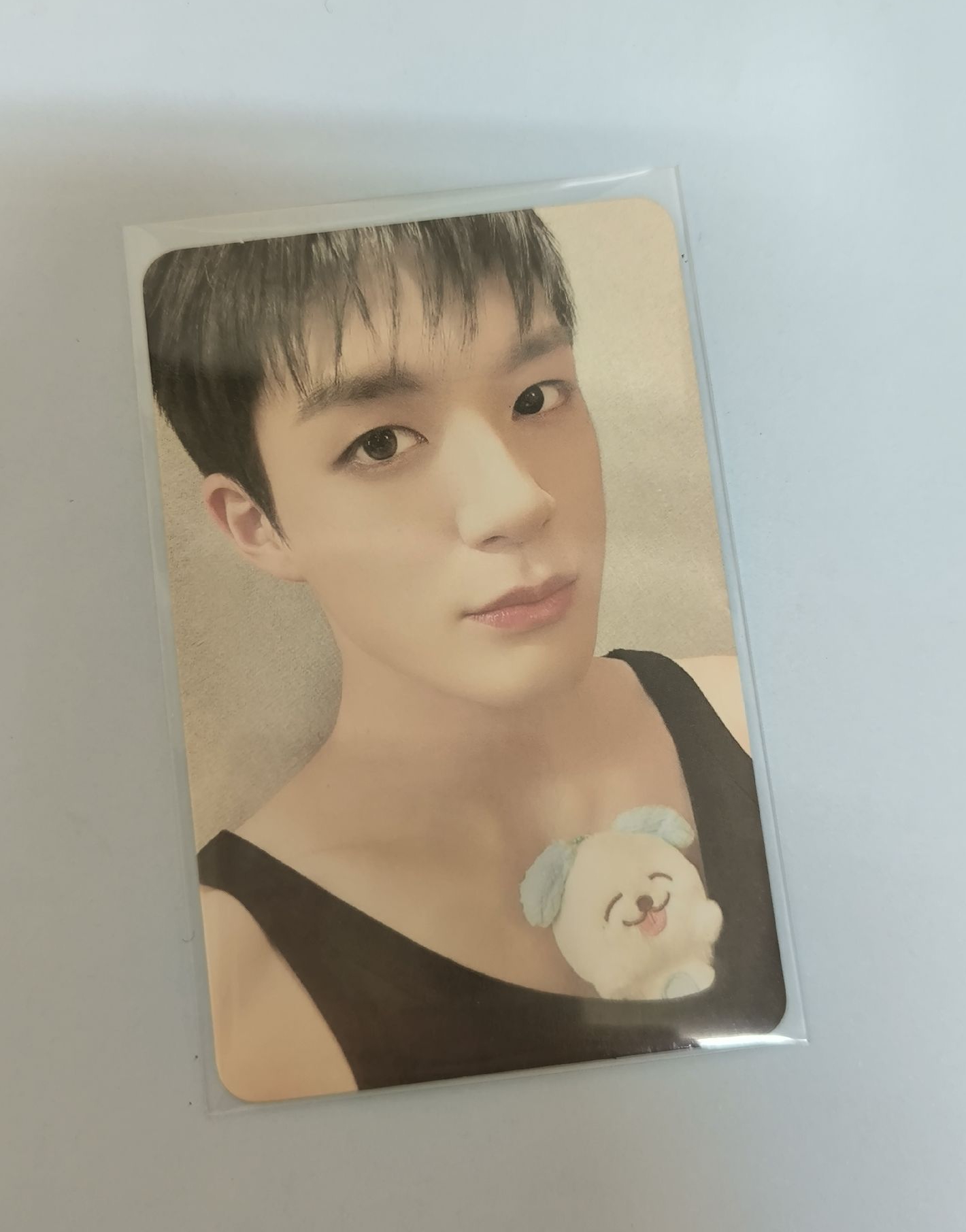 諾娃卡/李帝努娃卡