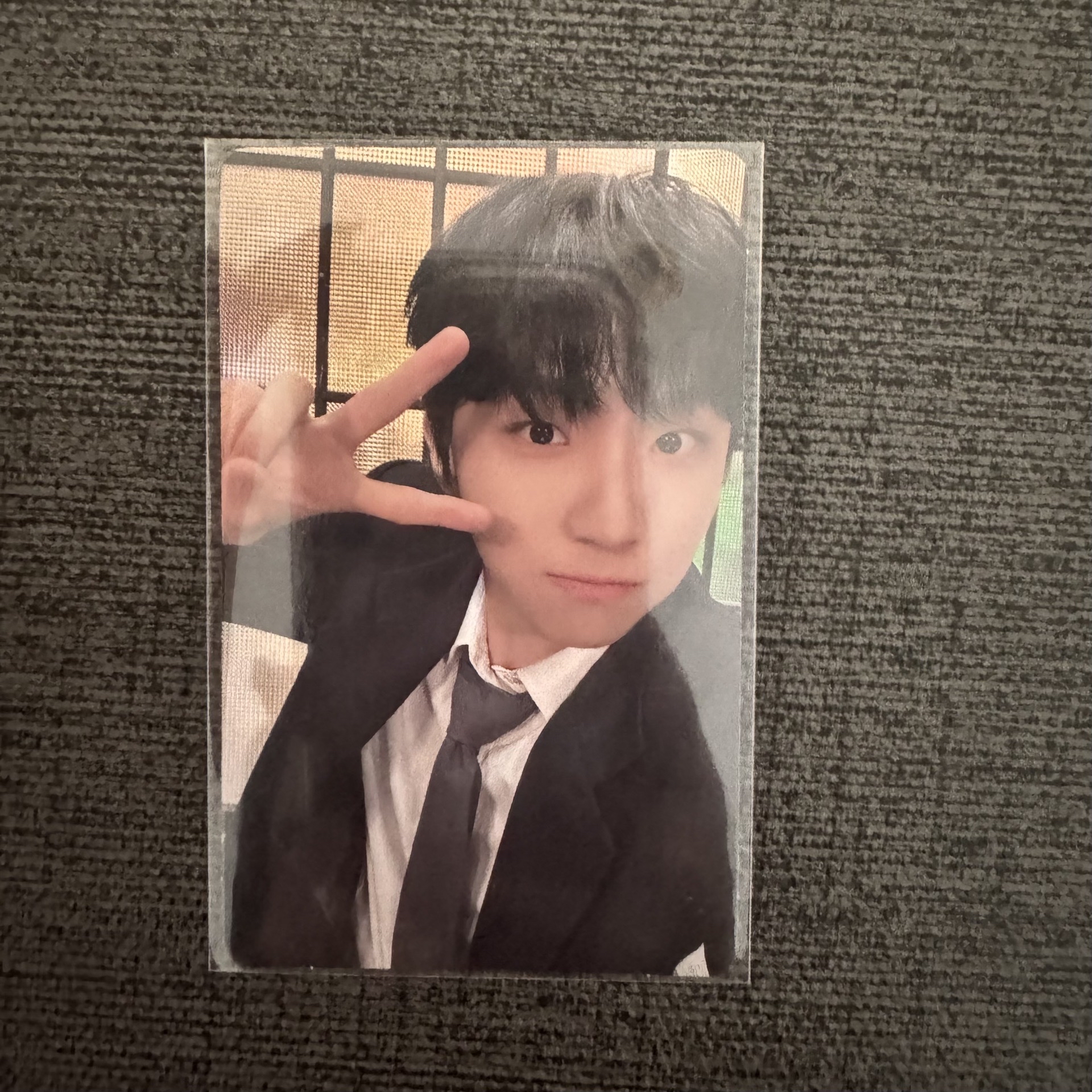 wvs 西裝小豬 金雲鶴