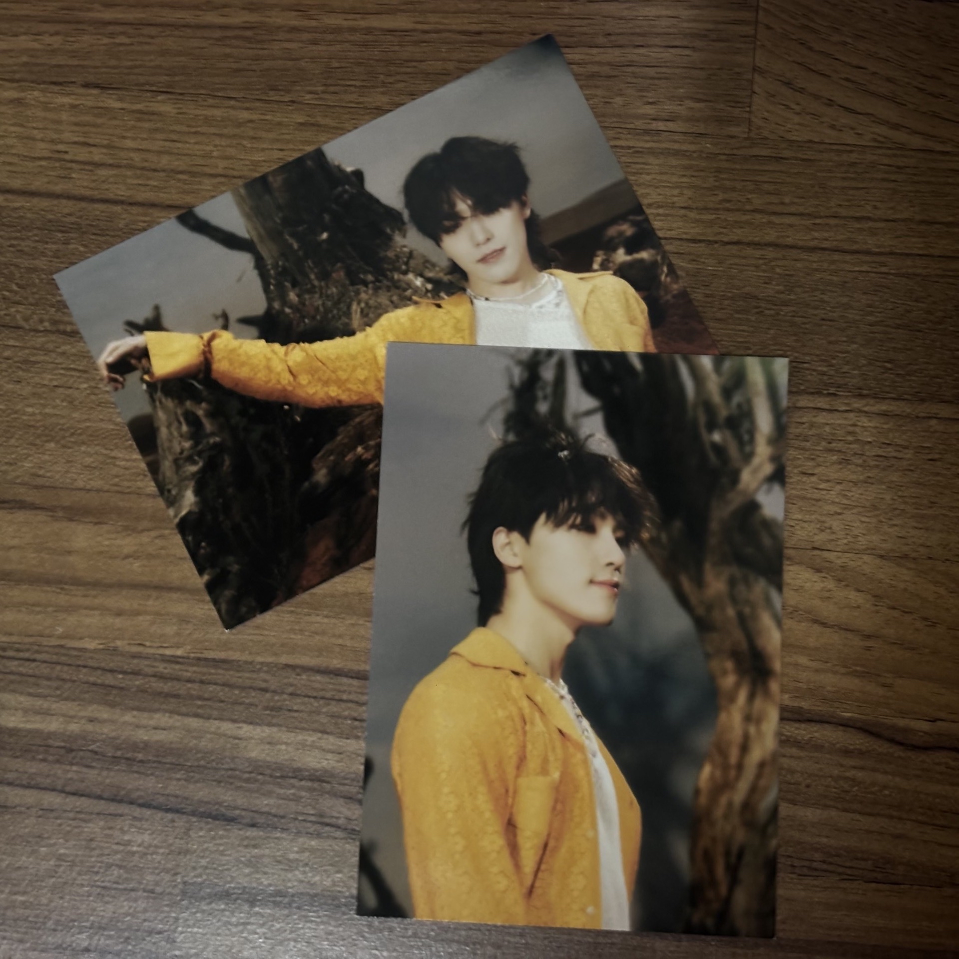 燦 歷代kit專固配明信片