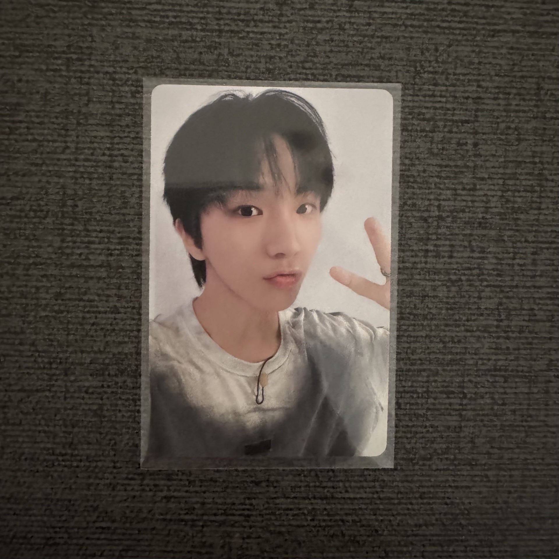 一直娛 簽售 金雲鶴