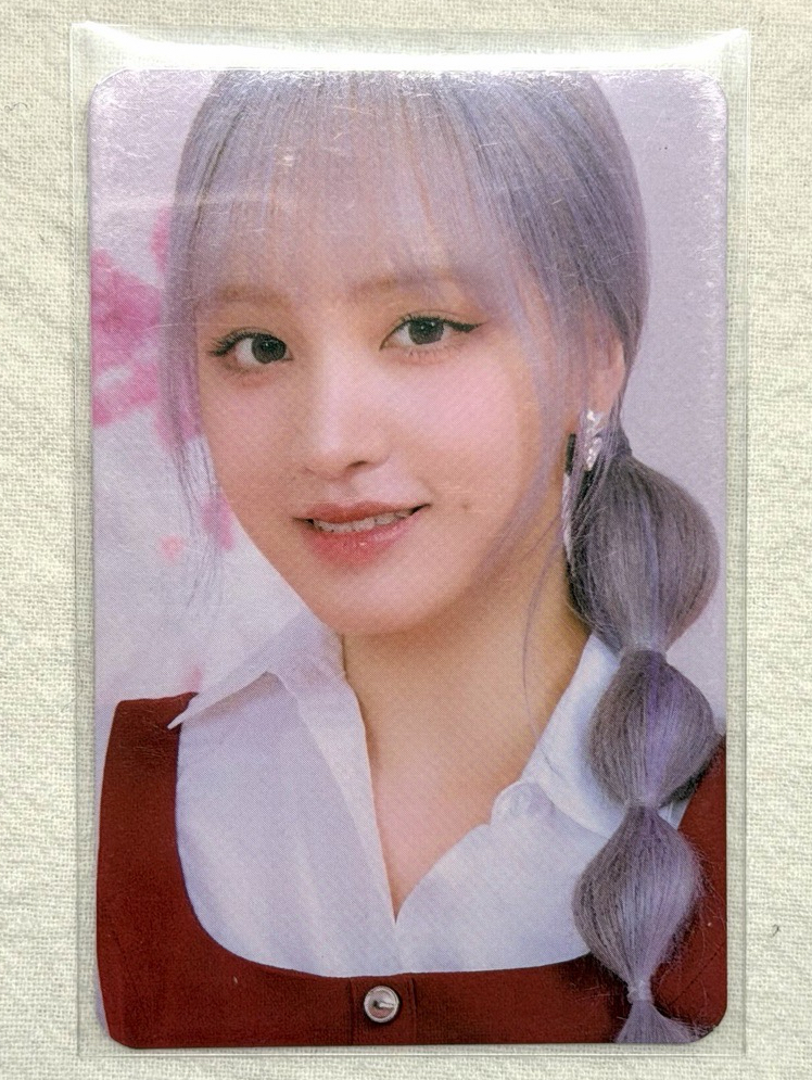 line friends栗官拍