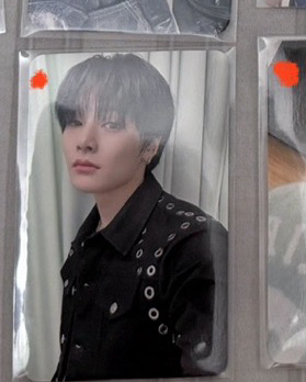 五星巨蛋巡迴寅