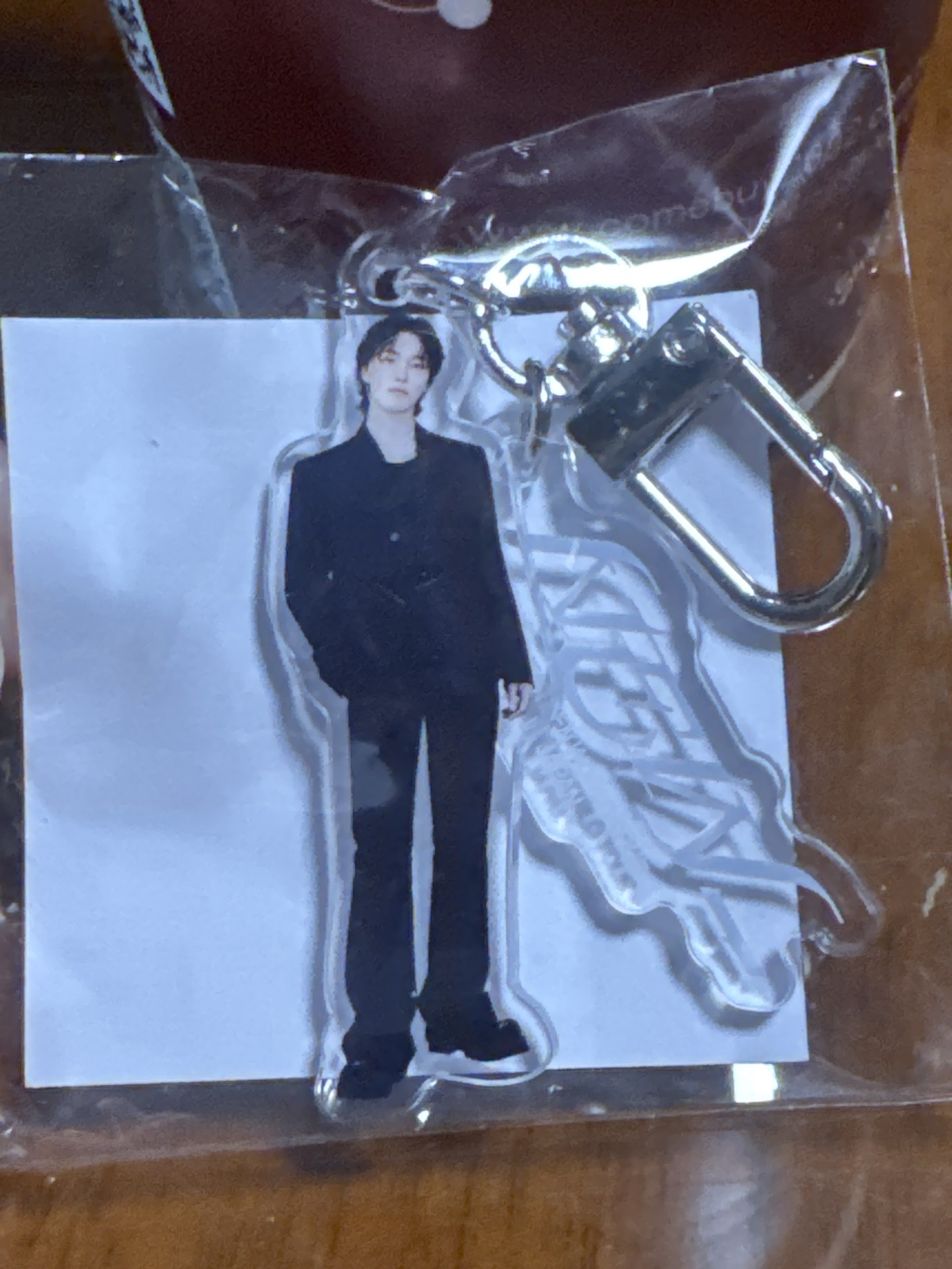 SEVENTEEN NEW 扭蛋 喆/燦