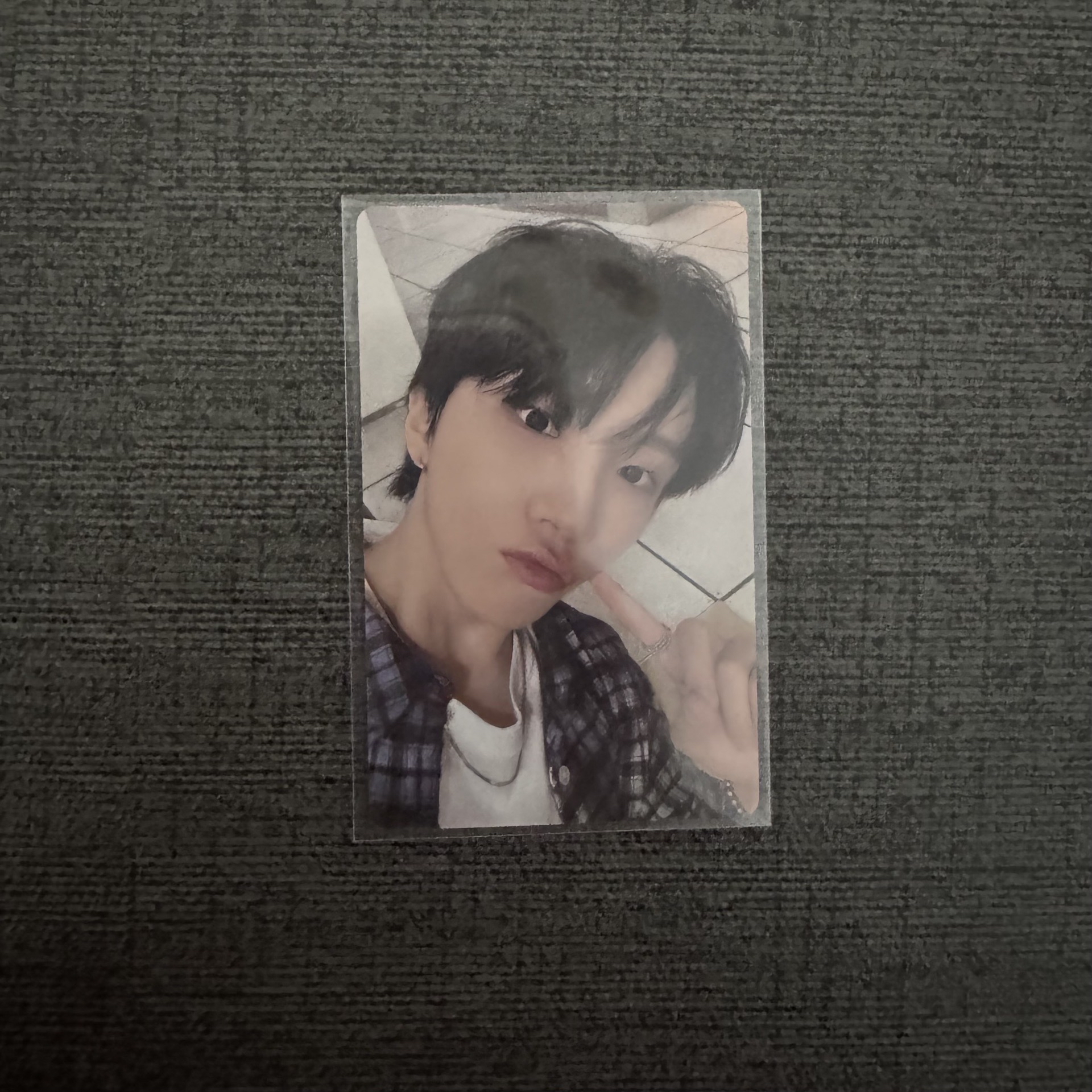 wvs 特別禮 嘟嘴 金雲鶴