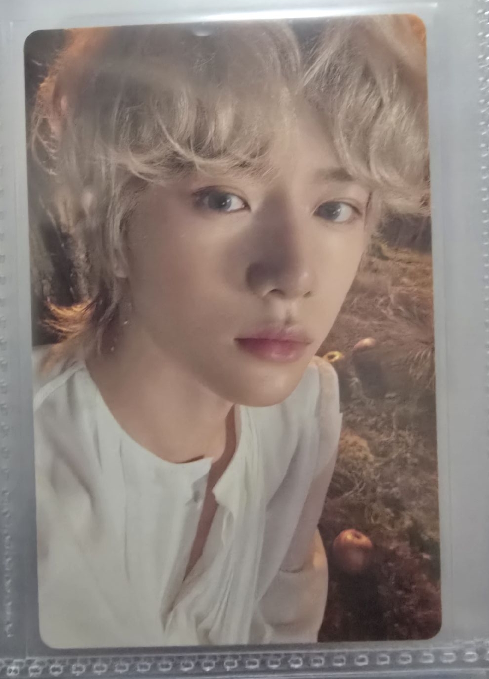 迷六 專輯卡 單封 Light版 杋圭