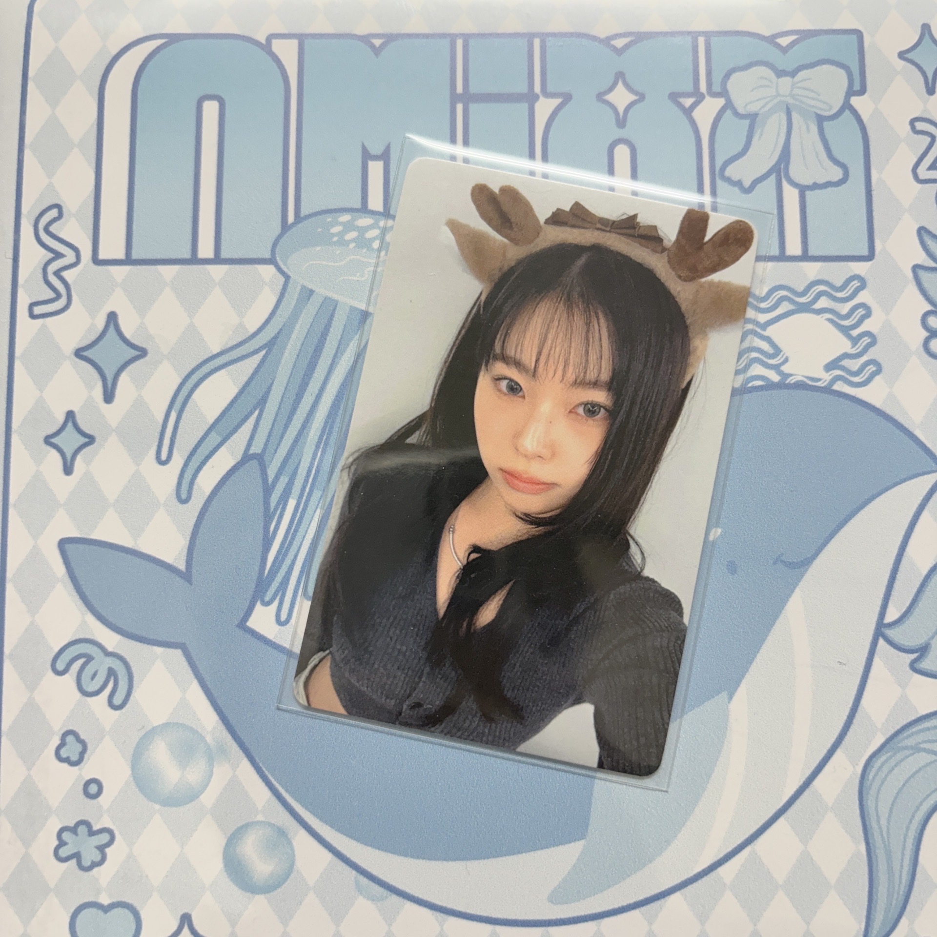 小鹿圭