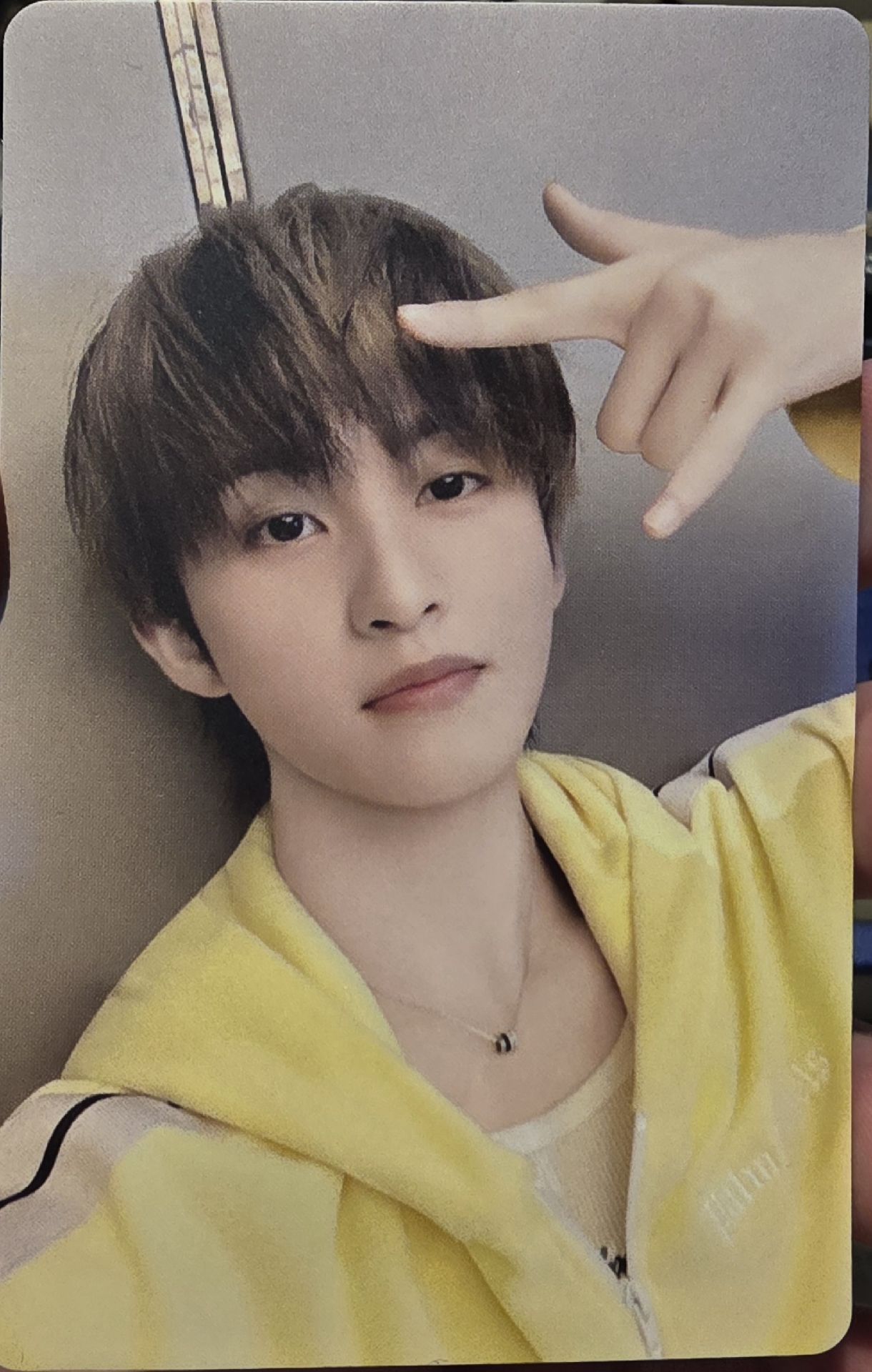 NCT DREAM 京東 杭州 A ver. 簽售卡 馬克 仁俊 帝努 渽民 辰樂