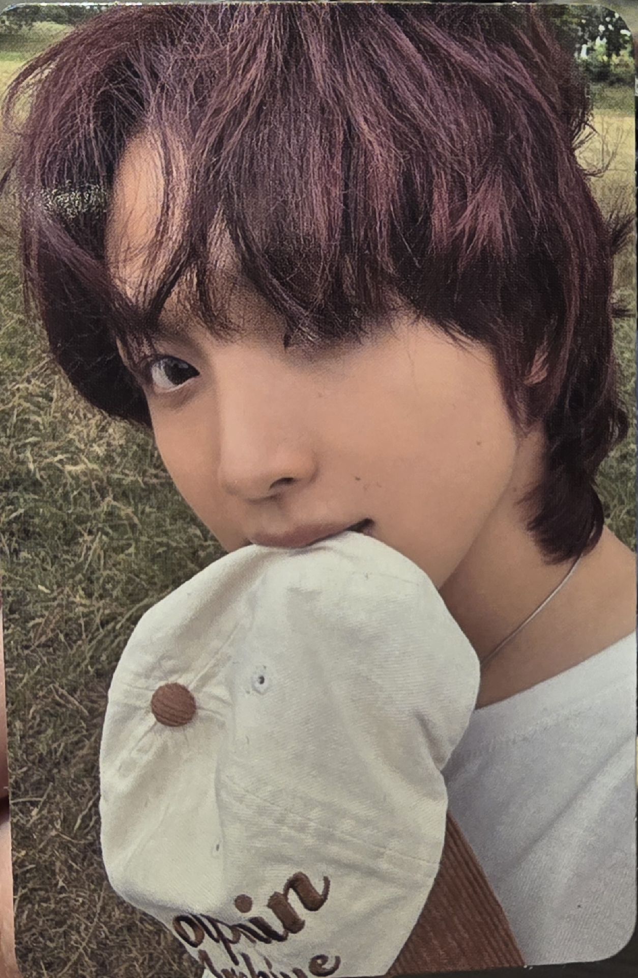 楷燦 solo TASTE 專卡