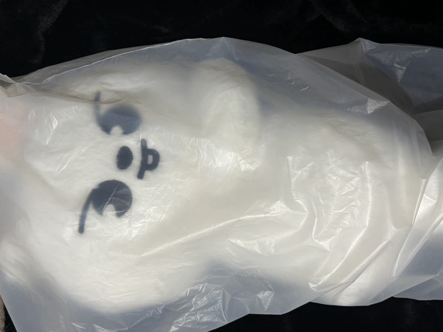 Leebit PLUSH BAG 泰迪側背包