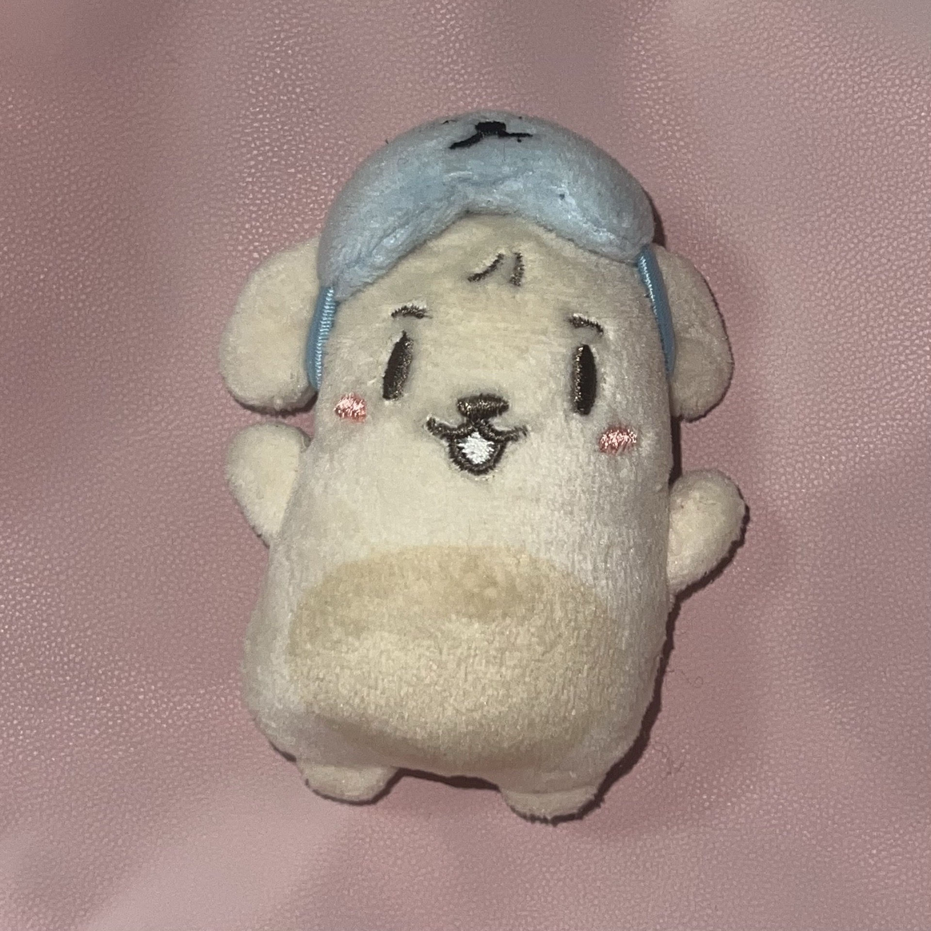 丁潤浩 小狗條 24年生日MD+綁