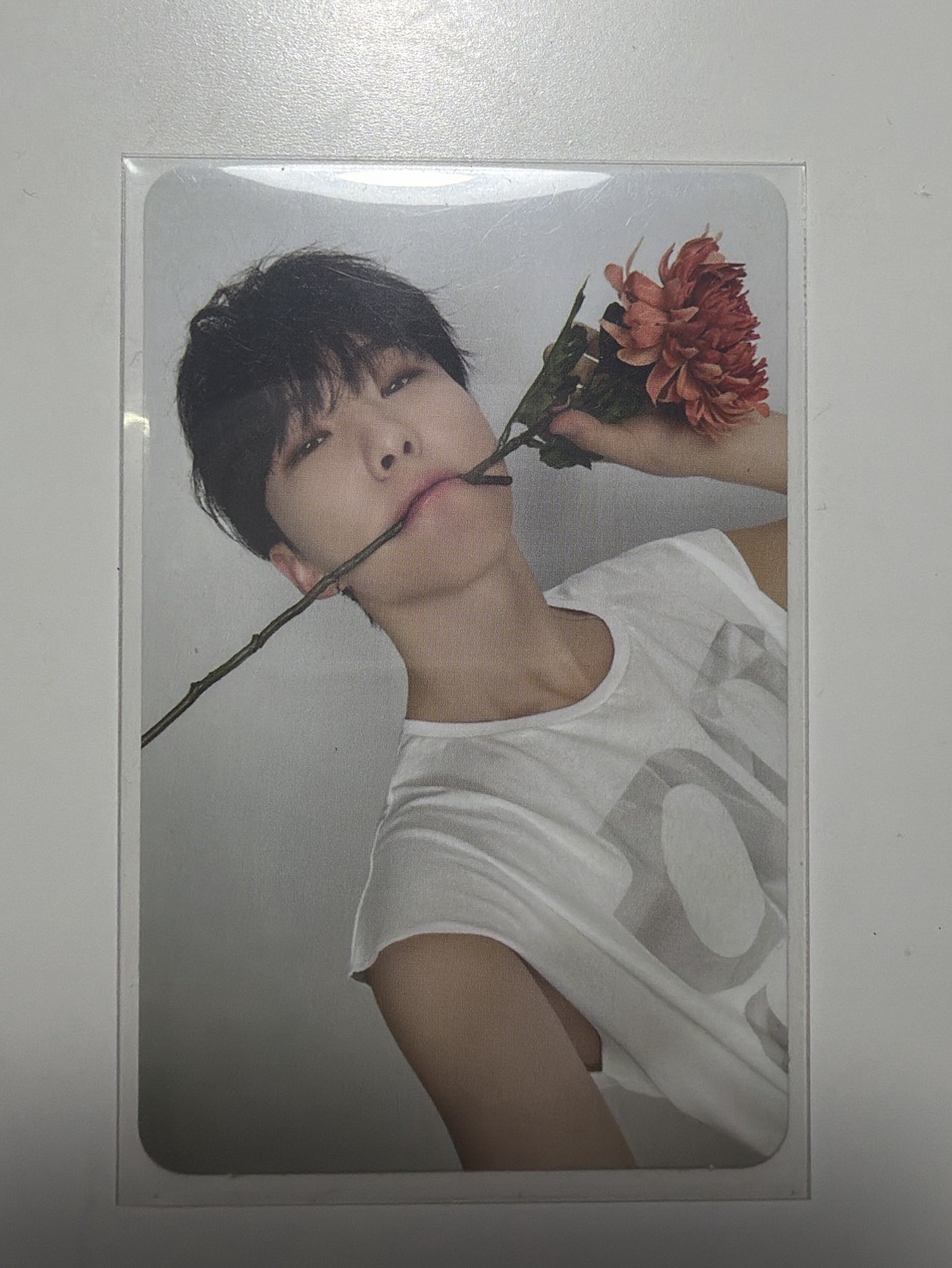 《17 is right here》專卡 Hoshi