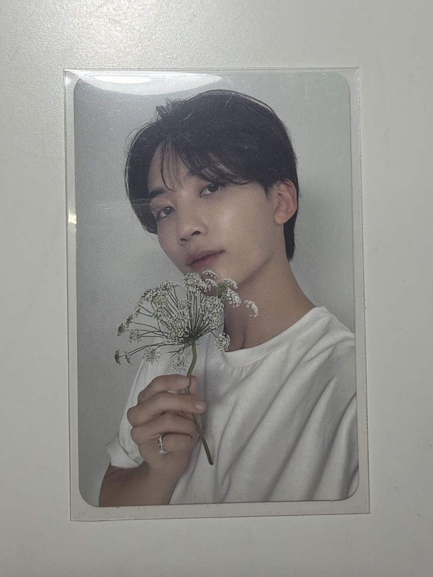 《17 is right here 》｜CARAT ver. 淨漢